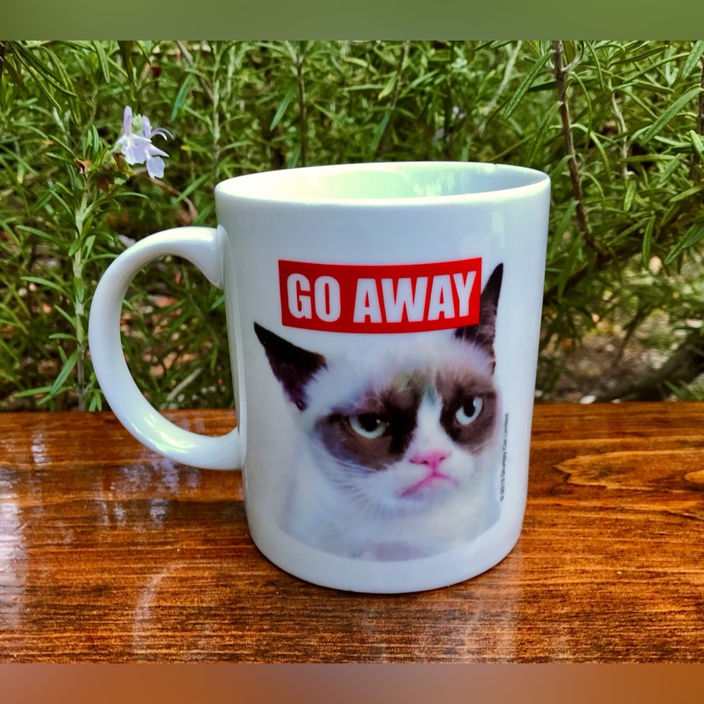 2013 Ganz GRUMPY CAT “ Go Away” Tea Coffee Hot Beverage Mug Cup Kitty Cat